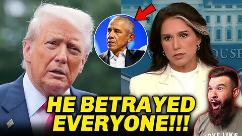 THEY CAN'T STOP IT NOW! Tulsi Gabbard WRECKS Obama With Receipts
