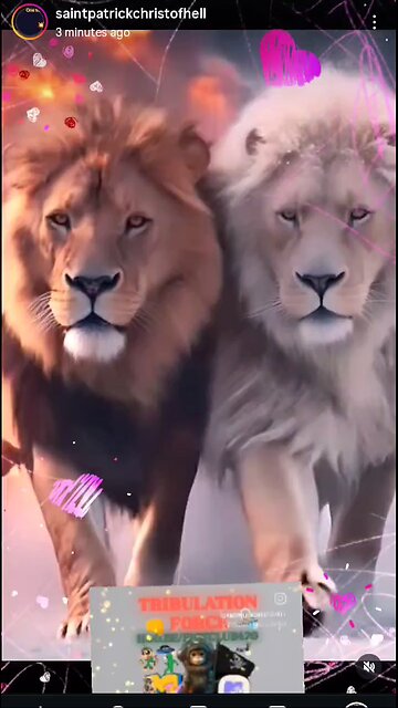 ASCENSION FOR SPACE 🌌 MONKEYs