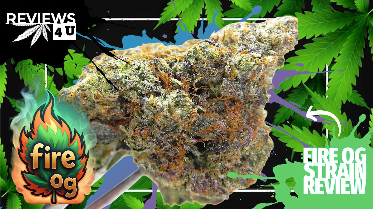 FIRE OG (STRAIN REVIEW) | REVIEWS 4 U