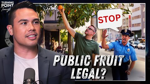 Is it OK to Pick Fruit from Public Trees?