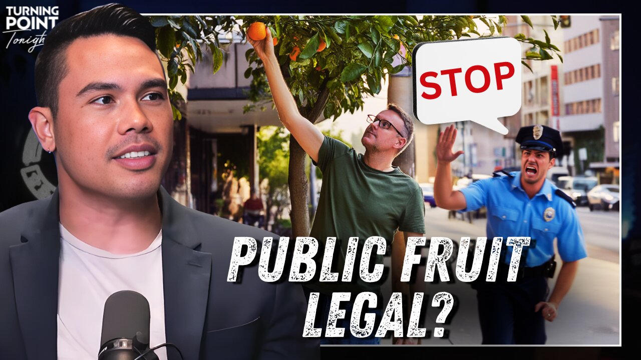 Is it OK to Pick Fruit from Public Trees?