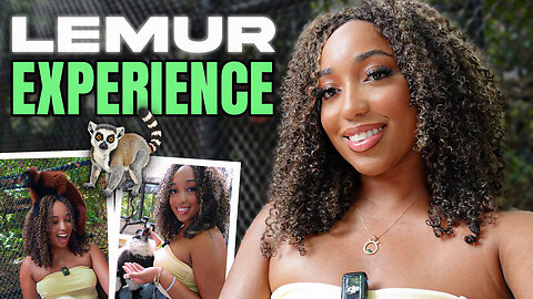 Up-Close With Lemurs in Miami?! 🐒🌴 Jungle Island’s Wild Side
