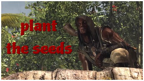 Assassin's Creed IV: Freedom Cry - plant the seeds