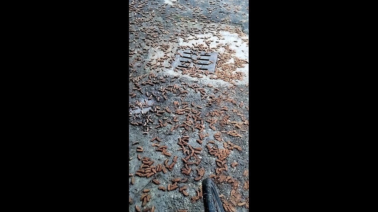 6mesi