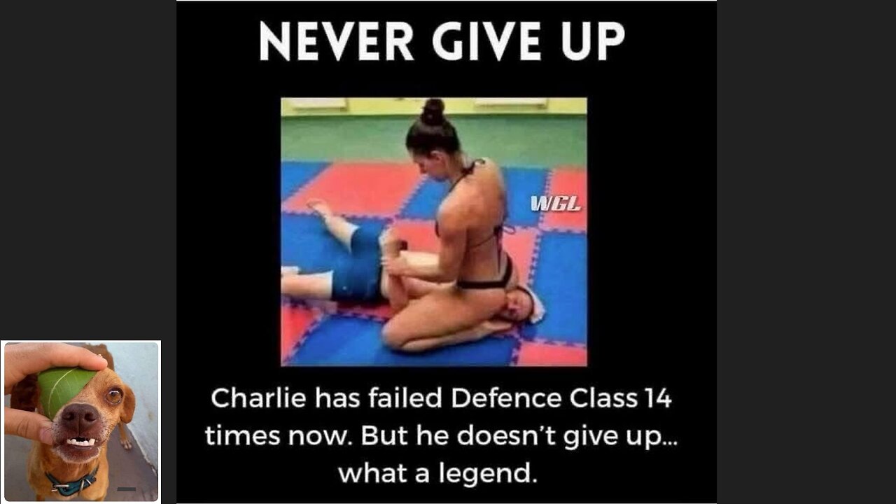 Memes That Will 99.0495% Make You Laugh. (e719)