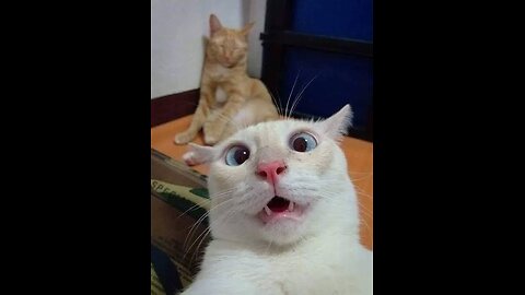 Matter boht bhari hai😂