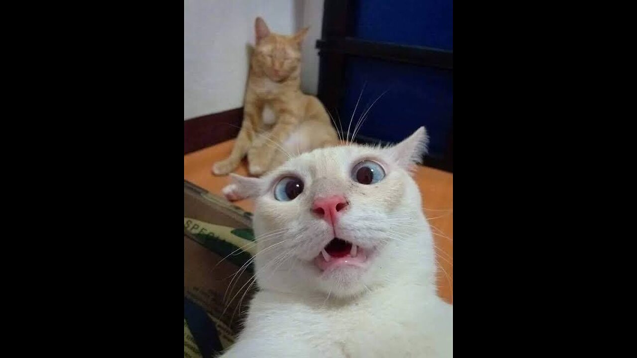 Matter boht bhari hai😂