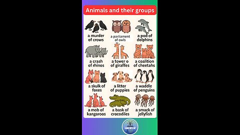 Animals and their groups । Do you know these facts #english #animals #facts #shorts