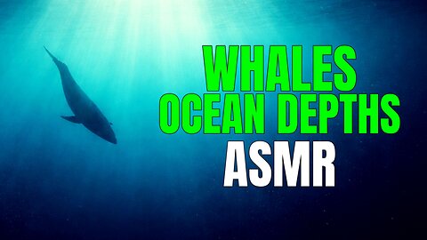 WHALES | OCEAN Depths | ASMR | Study & Calm