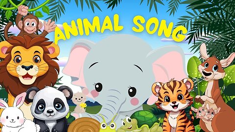 Animal Finding Adventure - Song for Kids