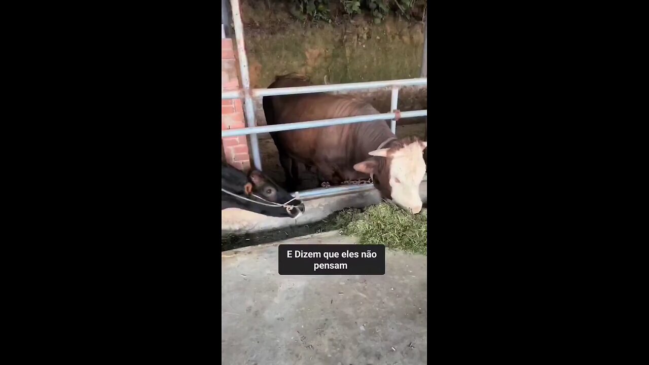 Sharing is love ❤️