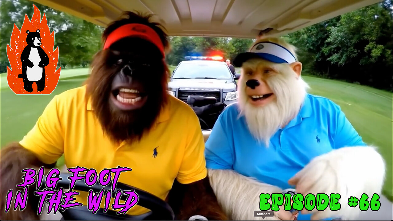 The Most Hilarious Big Foot Videos