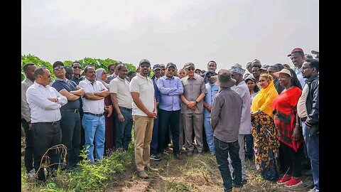 Green Belt is a legacy for generations - Prime Minister Abiy