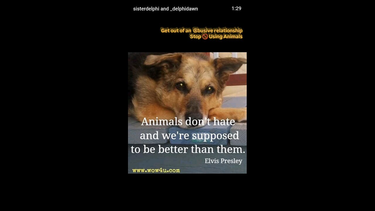 Get out of an @busive relationship