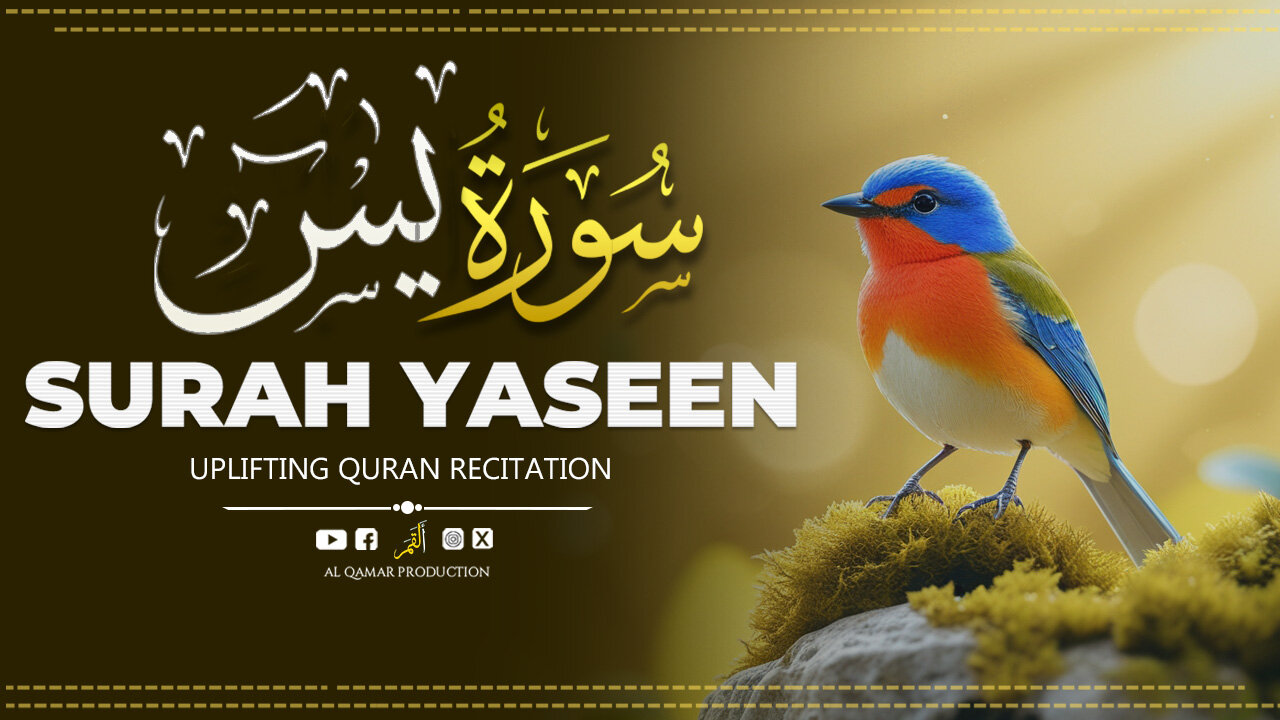 Surah Yaseen 🌿 | A Flow of Spiritual Tranquility | Al Qamar Production