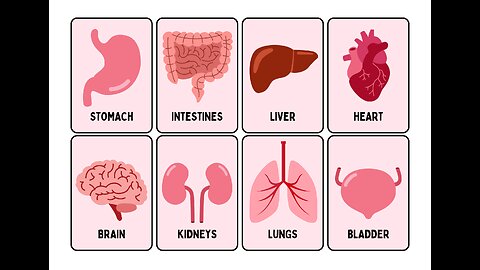 powerful tips for better liver and artery health