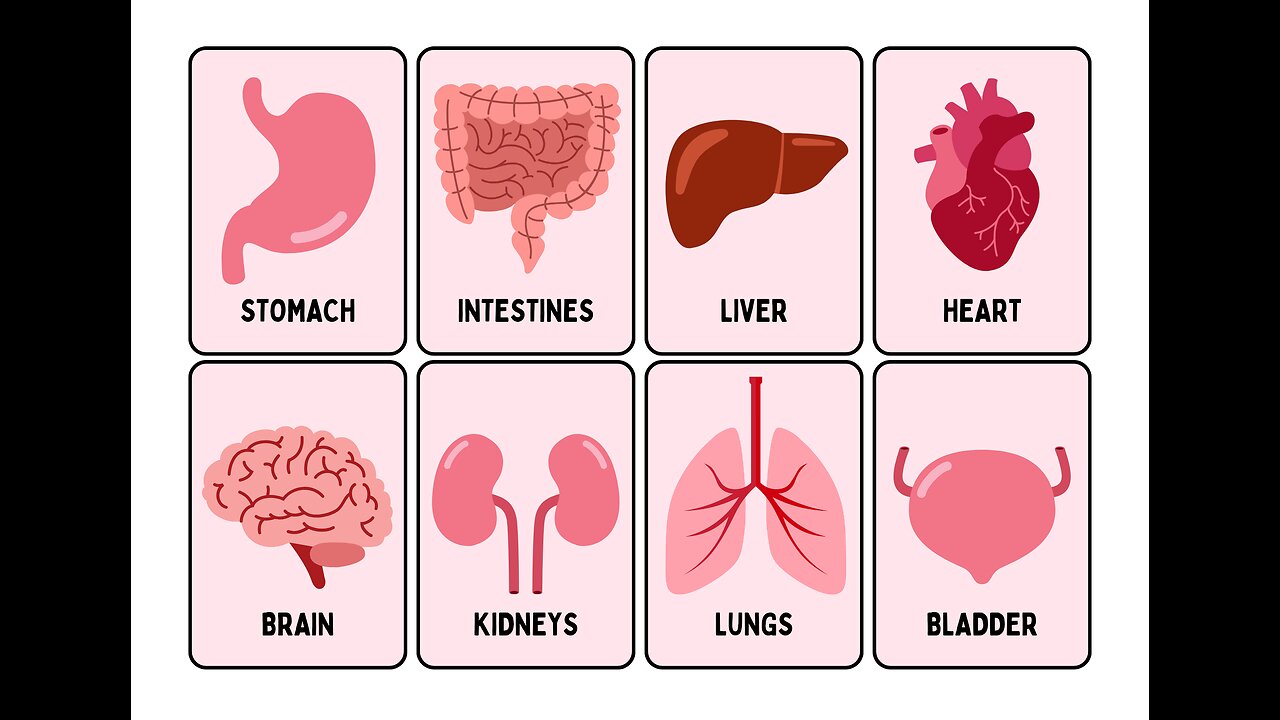 powerful tips for better liver and artery health