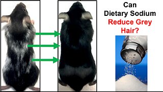 Can Dietary Sodium Reduce Grey Hair?