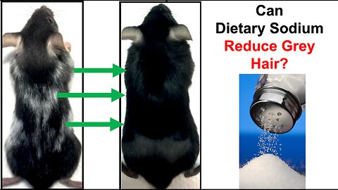 Can Dietary Sodium Reduce Grey Hair?
