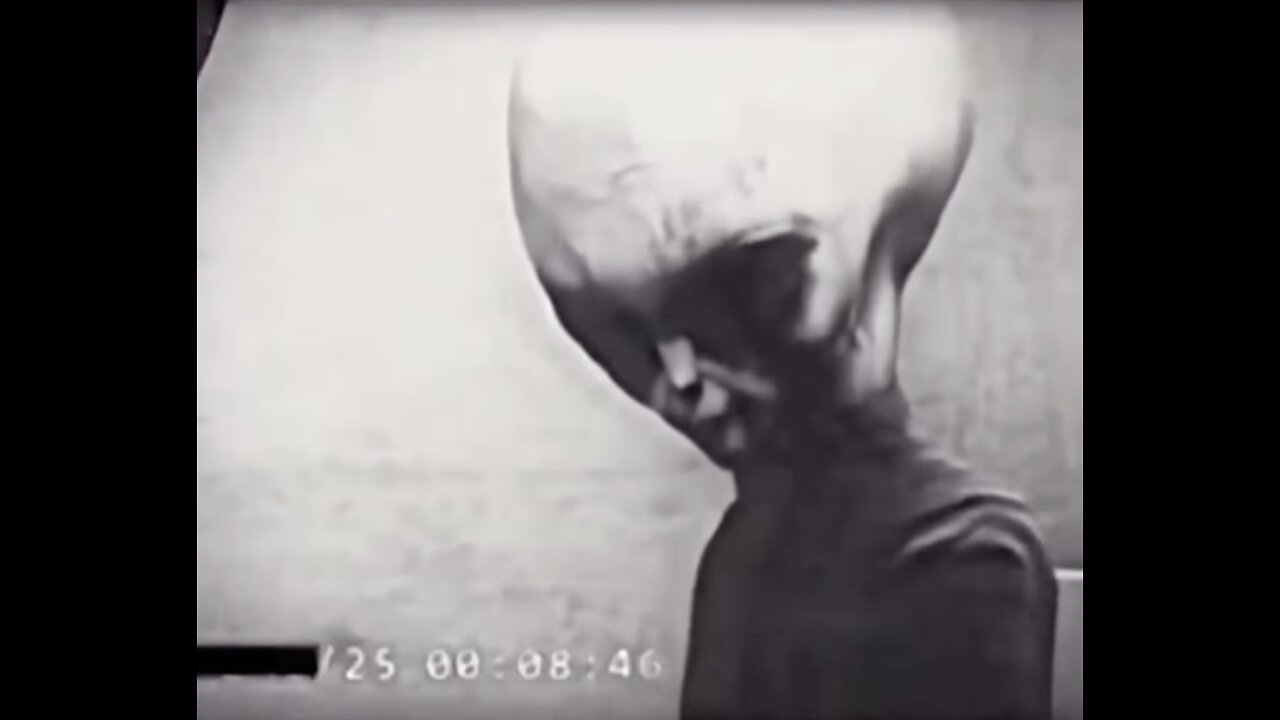 Aliens/UFOs Aren't From "Space"...They Are From Beyond The Ice Wall