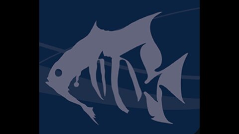 Fish in the tank