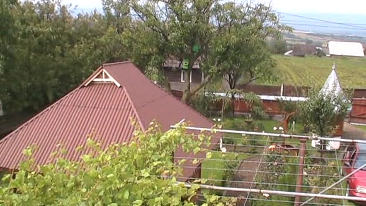 Suceava, 2010