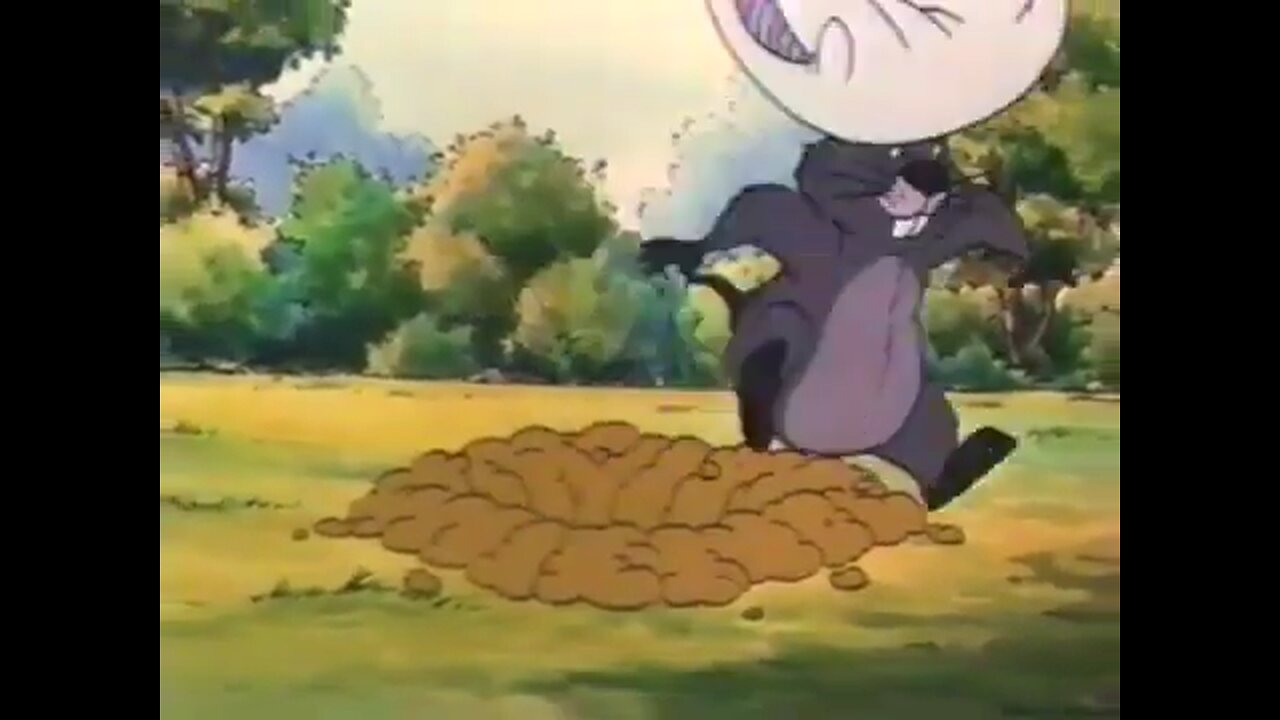 Playhouse Disney 2000 Commercial Break Part 41