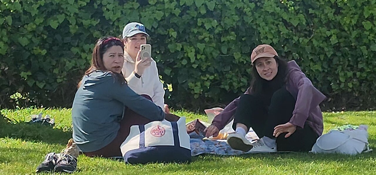 INFILTRATING A PRIVATE PRIMATE PICNIC IN PUBLIC