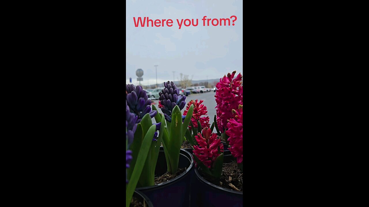 Where are you from?