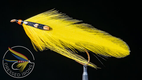 Tying the Canary - Dressed Irons