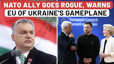 Blow to Kyiv? After Russia Gamble, NATO Ally Questions Ukraine's War Plan, Hits EU With Cold Truth
