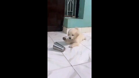 मासुम है