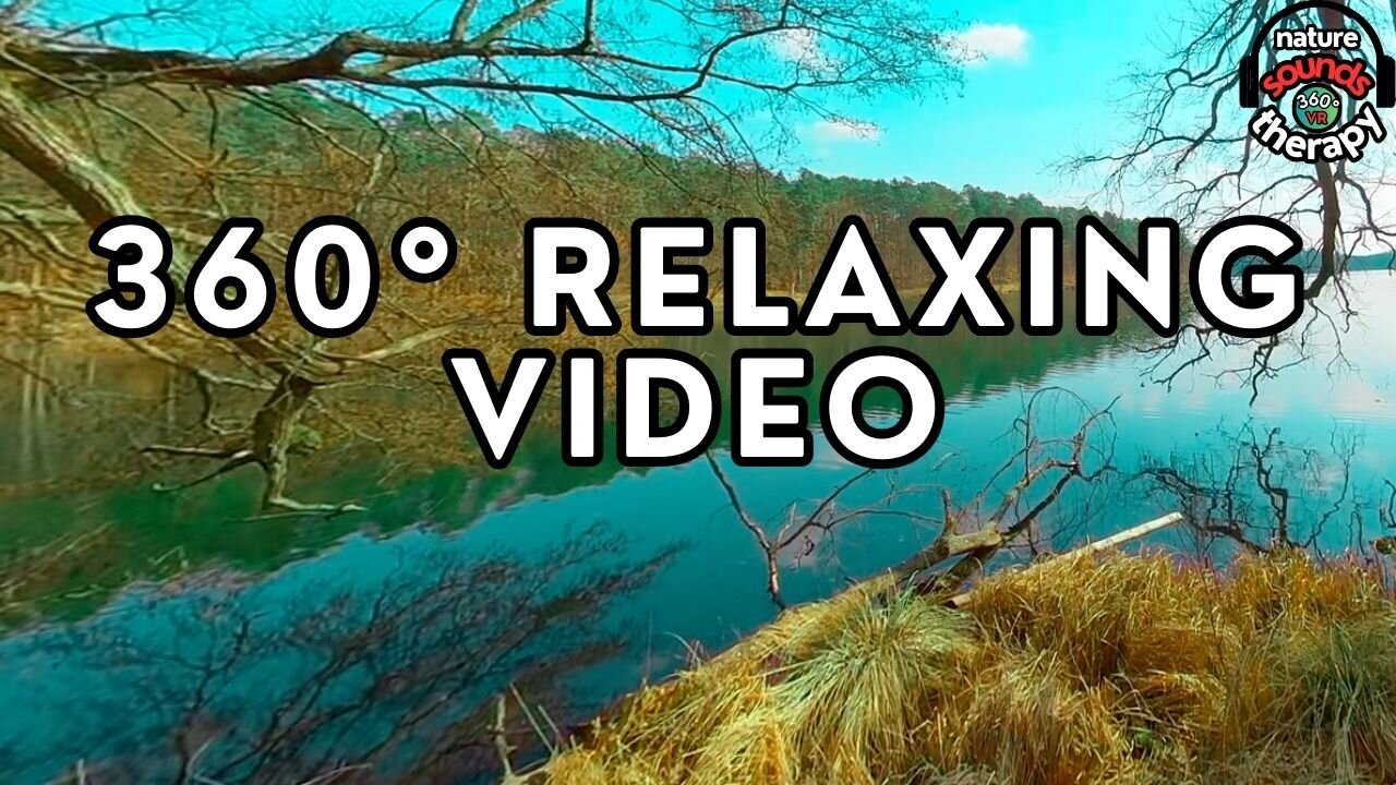 By the Lake- Spring Nature Sounds 4K (Relaxation, Meditation, Sleep)