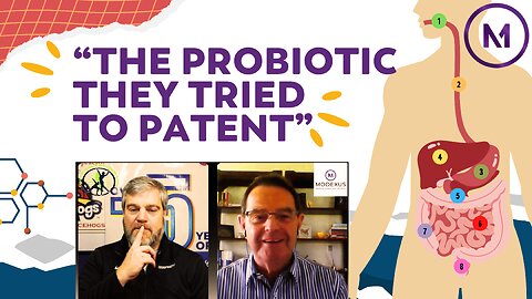 The Gut Health Breakthrough They Tried to Patent Themselves! 💥 | PROBIO Balance by Modexus