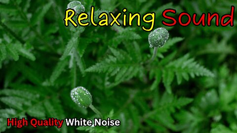 Serene White Noise (Black Screen) | Calm, Sleep, Focus
