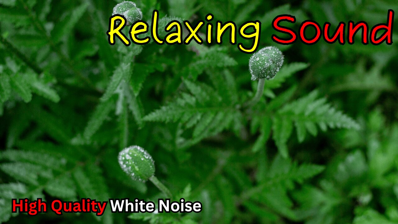 Serene White Noise (Black Screen) | Calm, Sleep, Focus