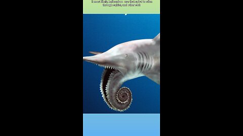 prehistoric fish that has saw like teeth