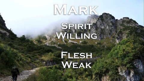 Spirit Willing, Flesh Weak
