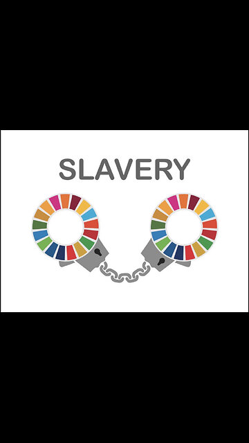 ​"SKWEEEEEE SKWEE SKWEEEEE! 🐷" ​"REEEEEE REEE REEE REEE!"