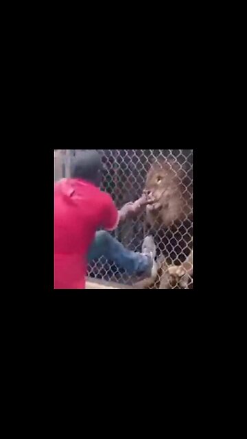 ALL OF YOU STUPID SCUMBAGS 🦁 WILL SOON FEEL THE BITE❗