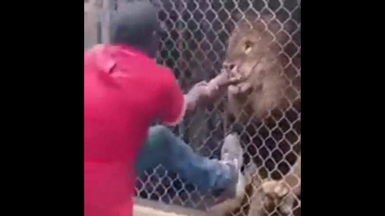 ALL OF YOU STUPID SCUMBAGS 🦁 WILL SOON FEEL THE BITE❗