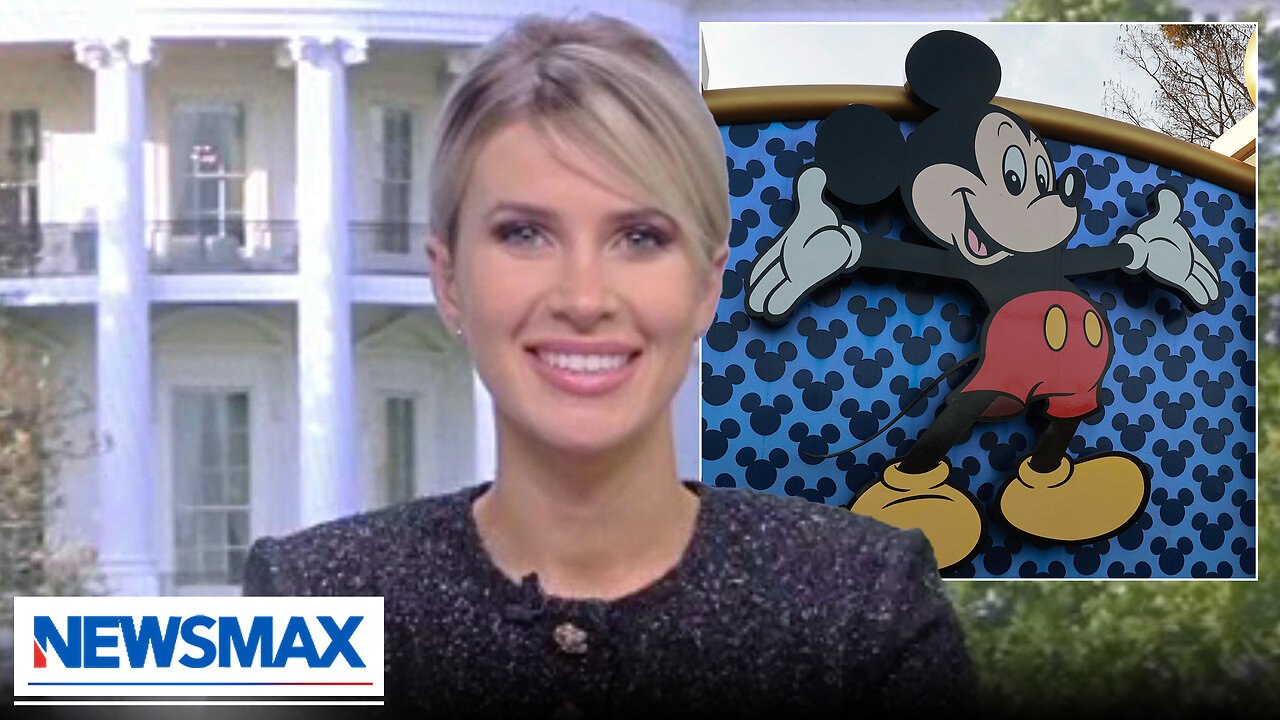 Disney loses by catering to the minority: Caroline Sunshine | National Report