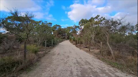 Evening Walk in Star Swamp Reserve. Solitary Trails Wetlands in Perth with My Dog