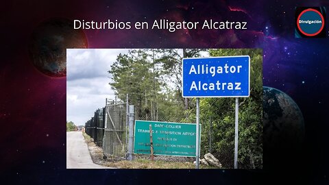 disturbios en alligat0r alcatras