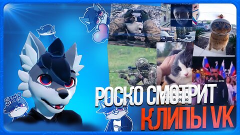 🐺 Роско смотрит ВК Клипы | ЧАСТЬ 8