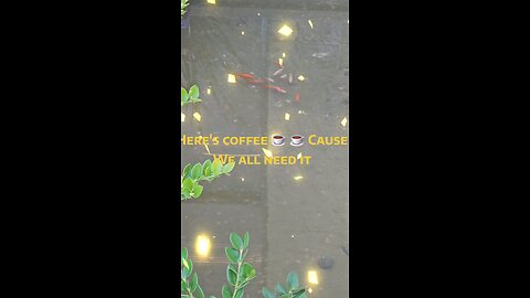 Who would like a cup of coffee ☕☕