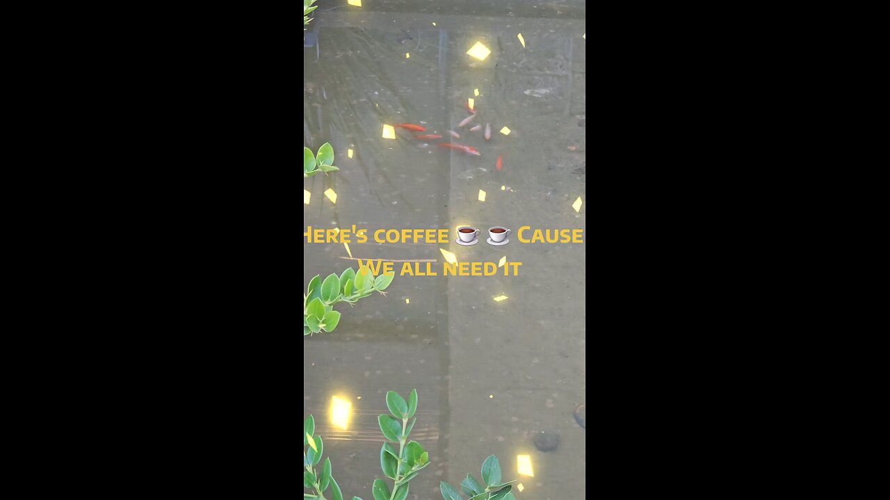 Who would like a cup of coffee ☕☕