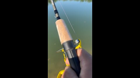 Bass fight hard