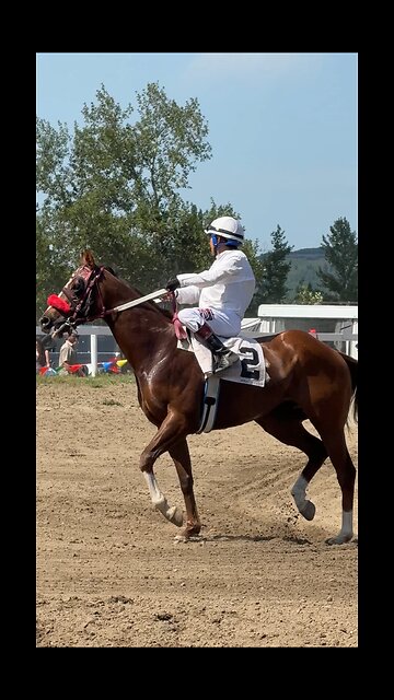 Horse Races in Millarville Alberta