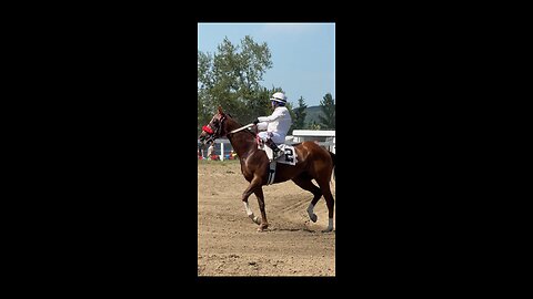 Horse Races in Millarville Alberta